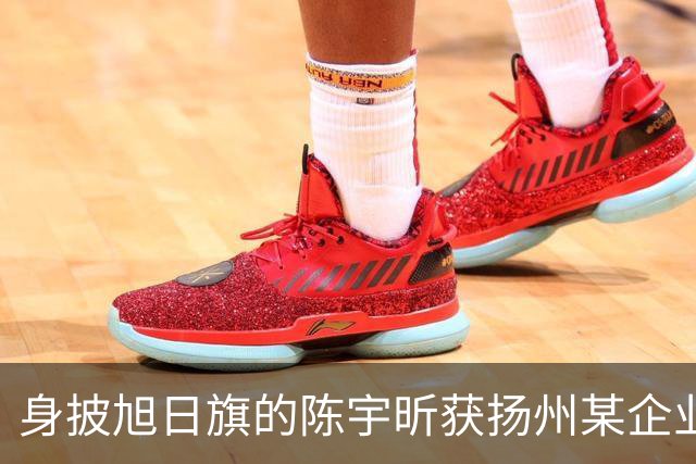 身披旭日旗的陈宇昕获扬州某企业支持，汤家凤发文怒批：必须严惩，露头就打